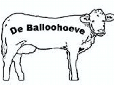 De Balloohoeve
